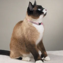 Meow Town Rhinestone Cat Collars