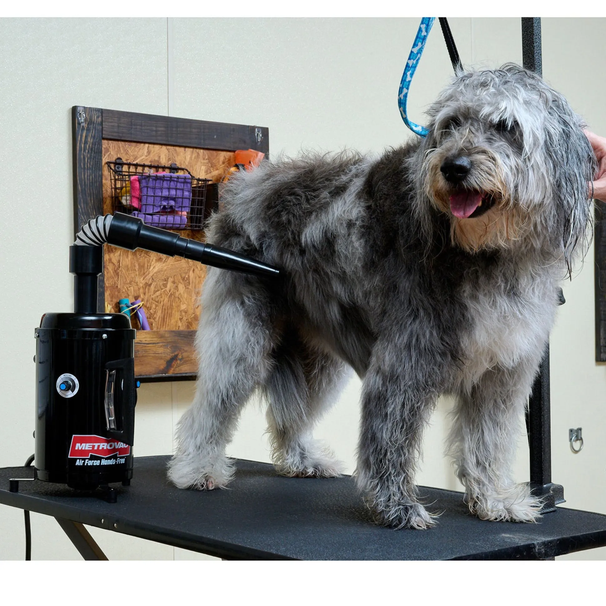 Metrovac Air Force Hands-Free Pet Dryer