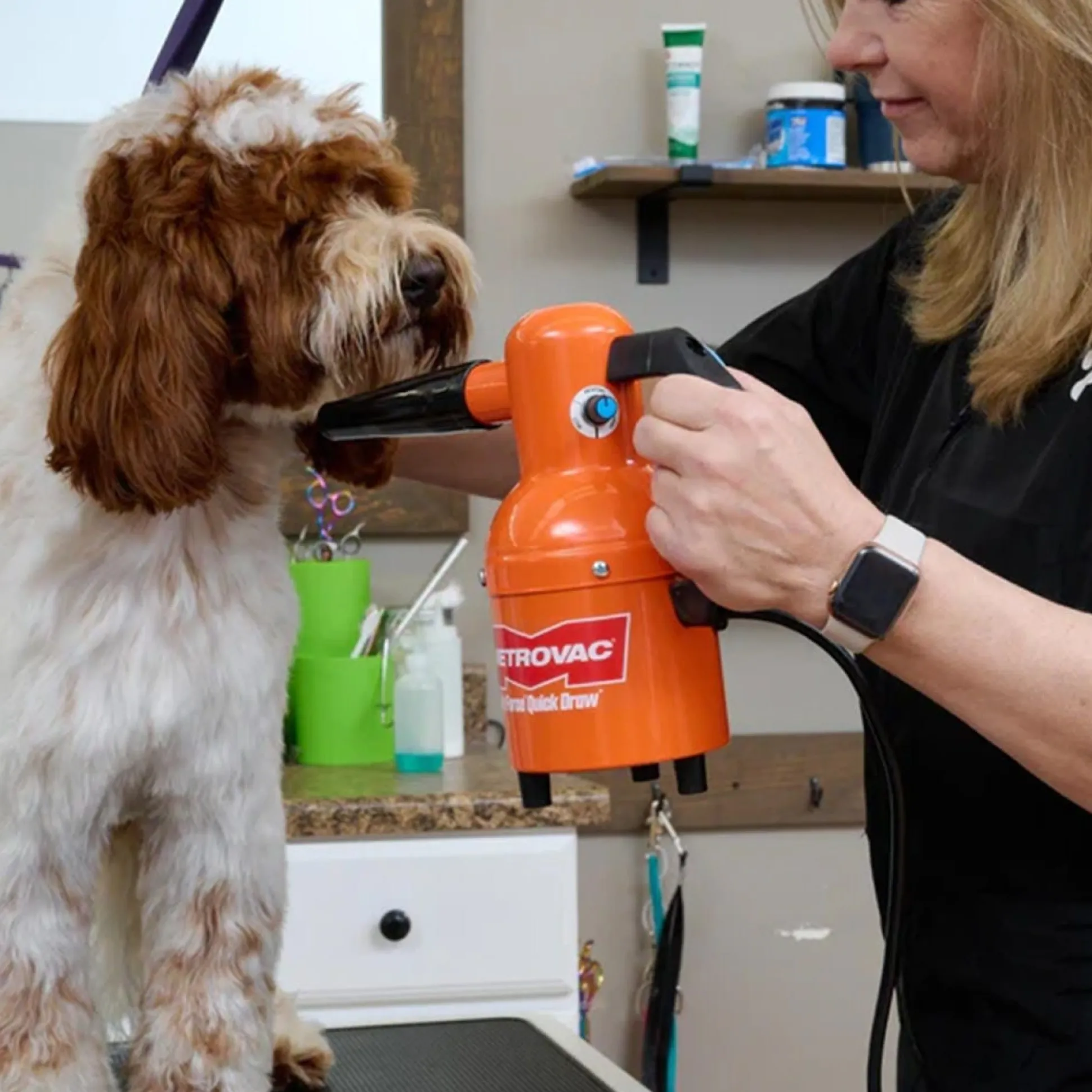 MetroVac Air Force QuickDraw VariSpeed 1.3HP Dog Dryer Orange