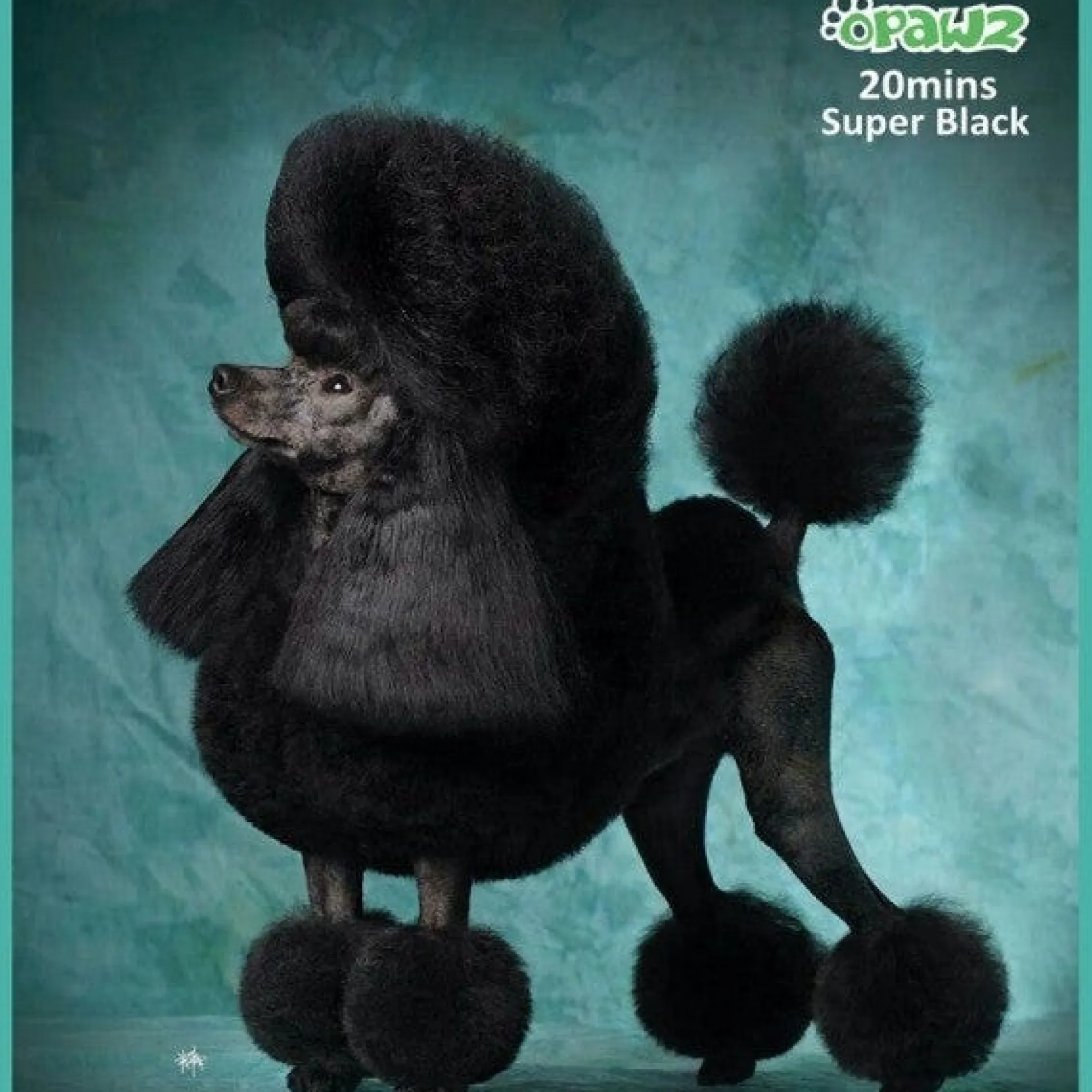 Opawz Super Black Permanent Hair Dye + Developer