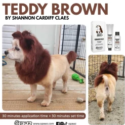 Opawz Teddy Brown Permanent Hair Dye + Developer