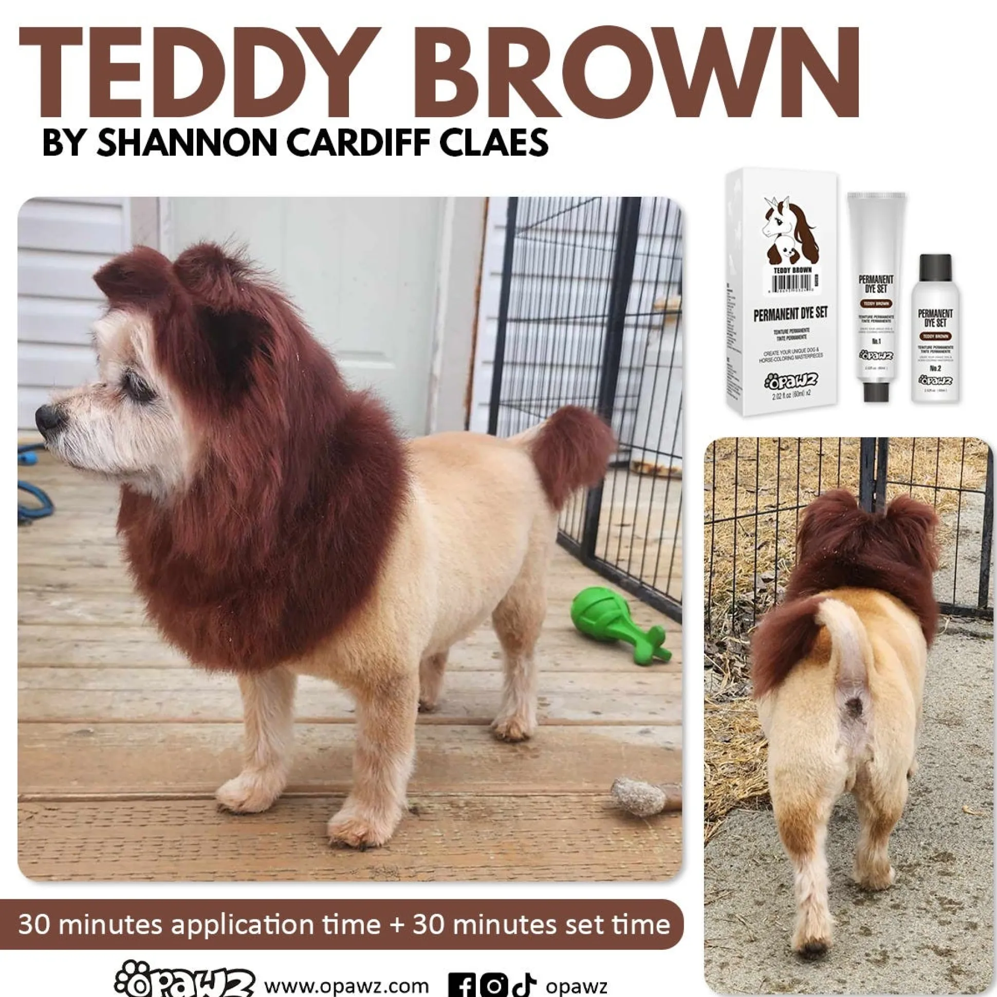 Opawz Teddy Brown Permanent Hair Dye + Developer