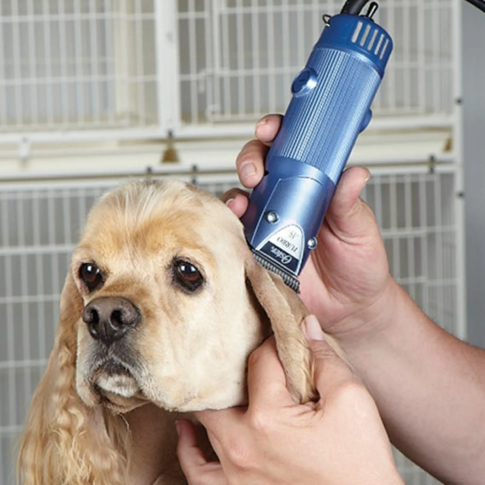 Oster Turbo A5 2-Speed Dog Hair Clipper with #10 Blade