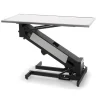 PetLift Low Max Electric Exam Dog Grooming Table