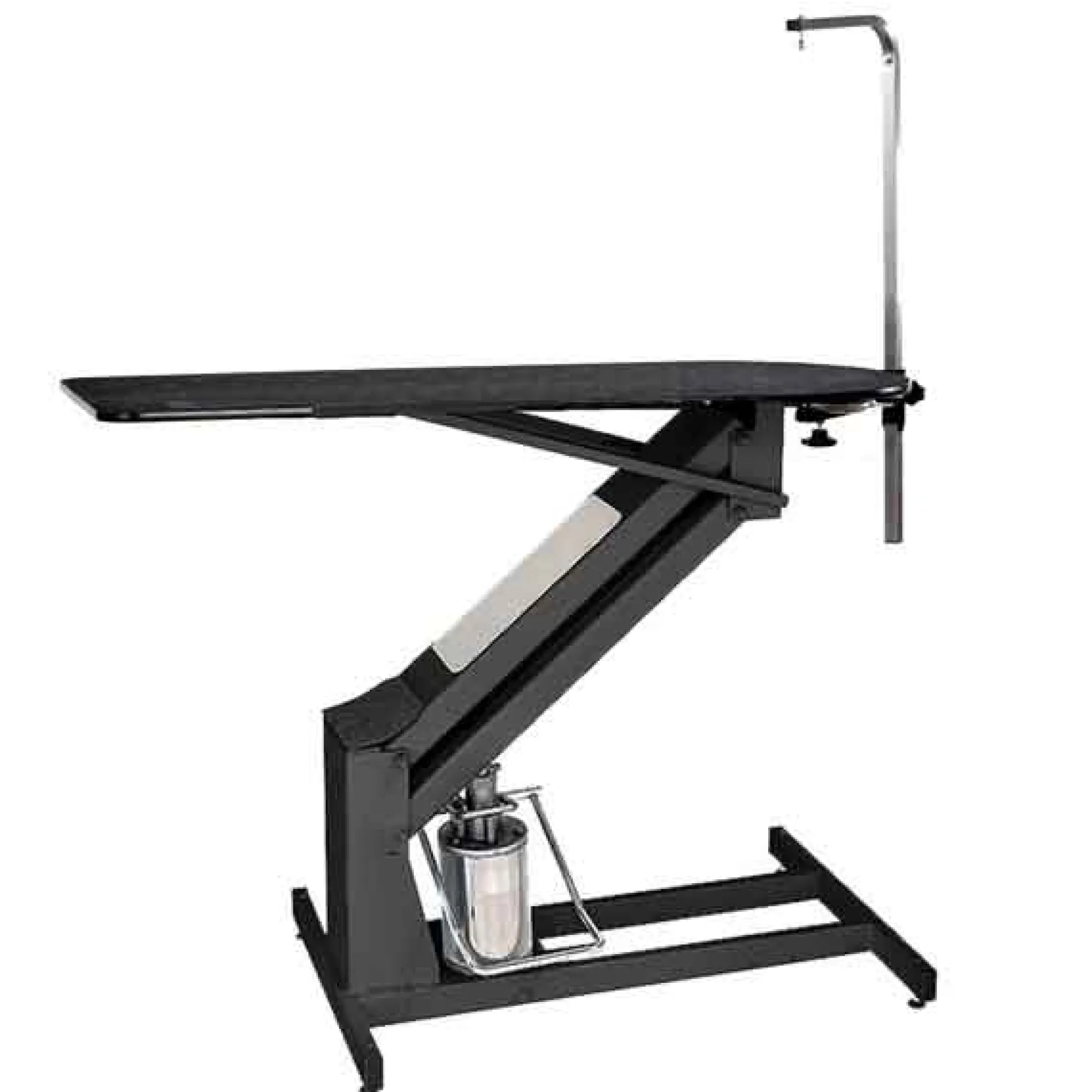 PetLift MasterLift Deluxe Fixed-Top Hydraulic Dog Grooming Table
