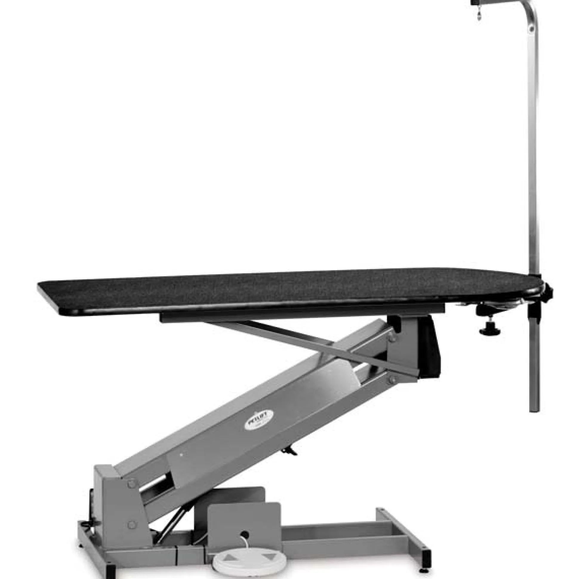 PetLift MasterLift Dlx Fixed-Top Electric Dog Grooming Tables