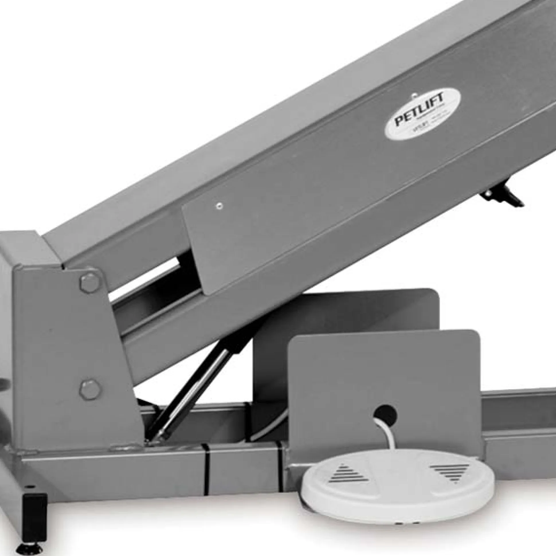 PetLift MasterLift Dlx Fixed-Top Electric Dog Grooming Tables