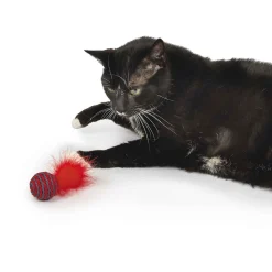 Pet Park Blvd Sisal Roller Toys 2 pk