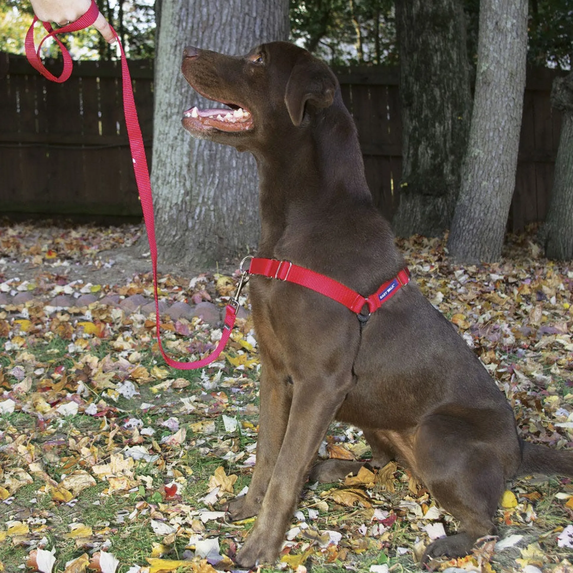 Petsafe Easy Walk Dog Harnesses
