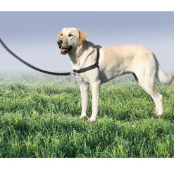 Petsafe Easy Walk Dog Harnesses