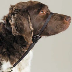 PetSafe Gentle Leader Head Collars