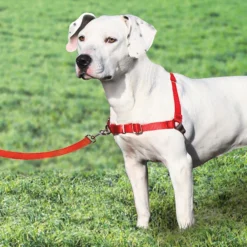 Petsafe Large Red Easy Walk Harnesses