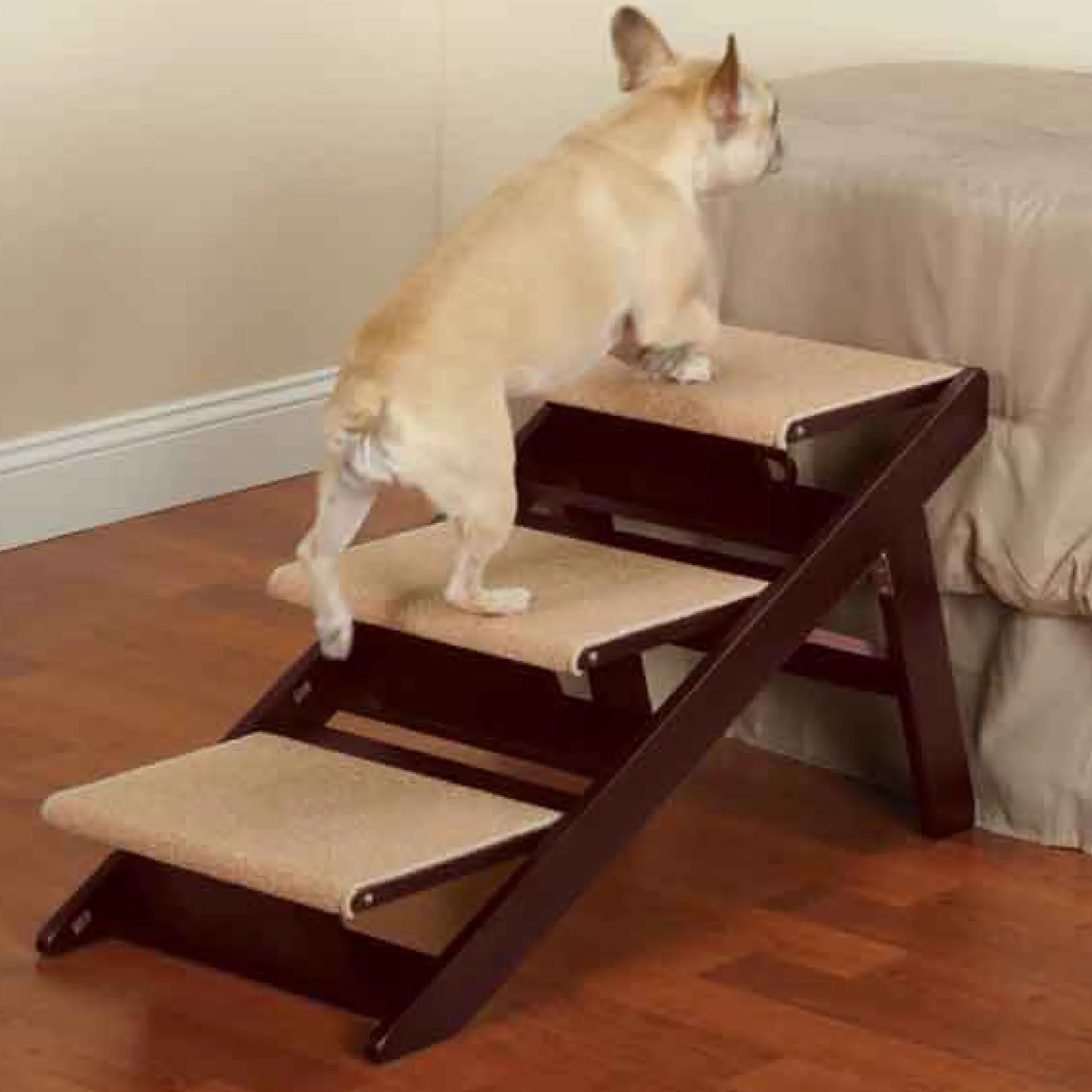 Pet Studio Ramp Steps