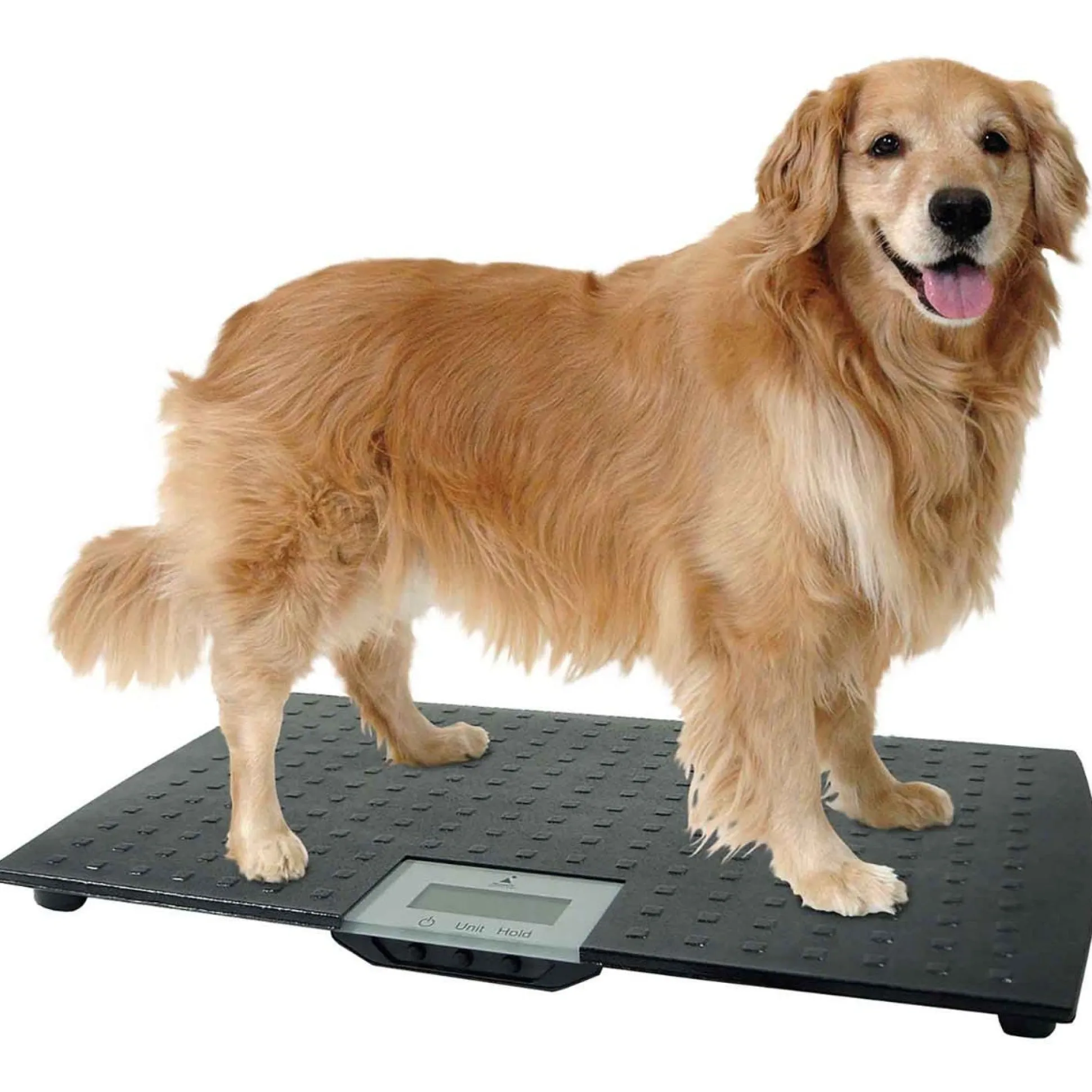 Precision Digital Pet Scales