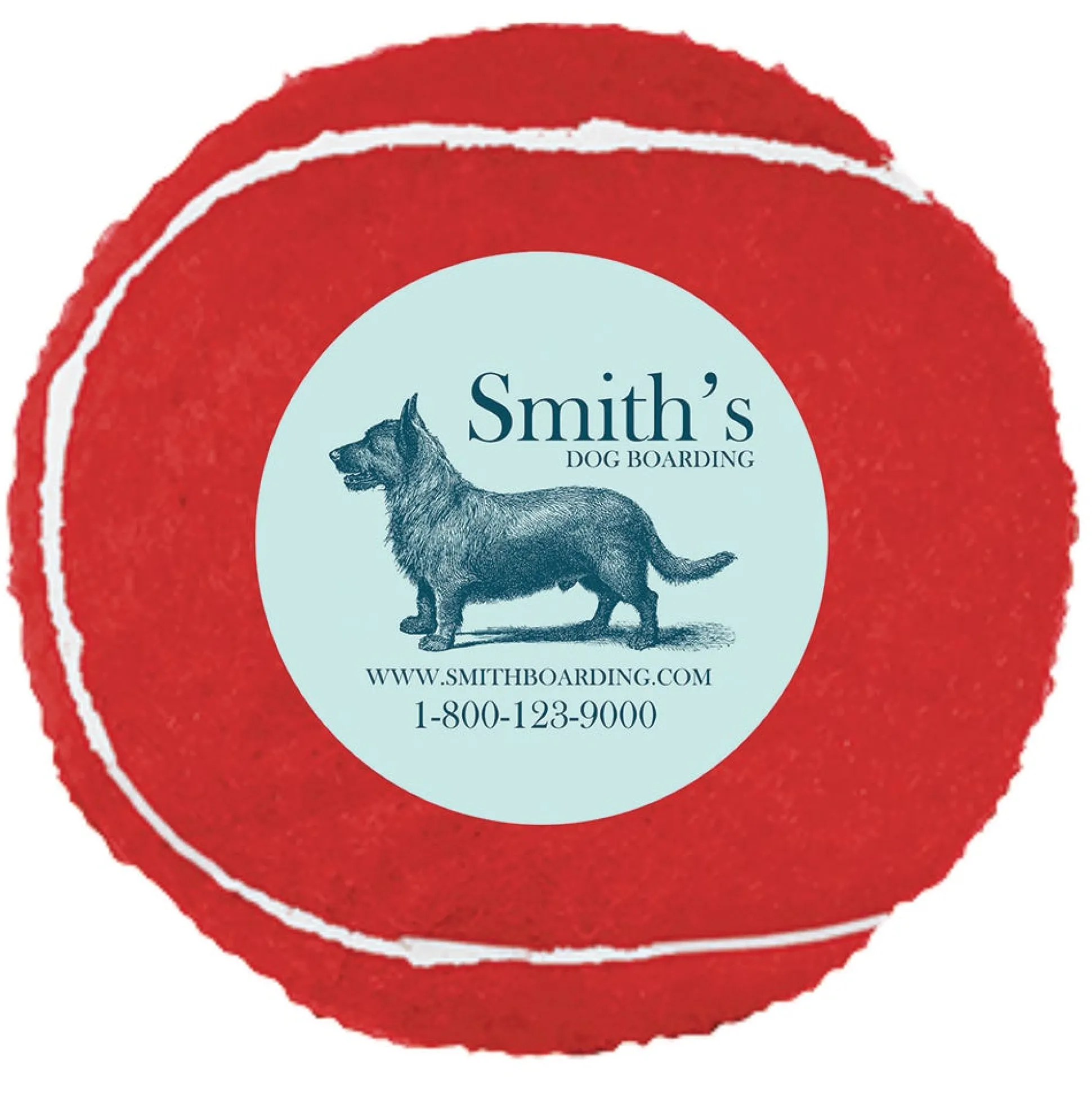 Promotional Pet Tennis Balls