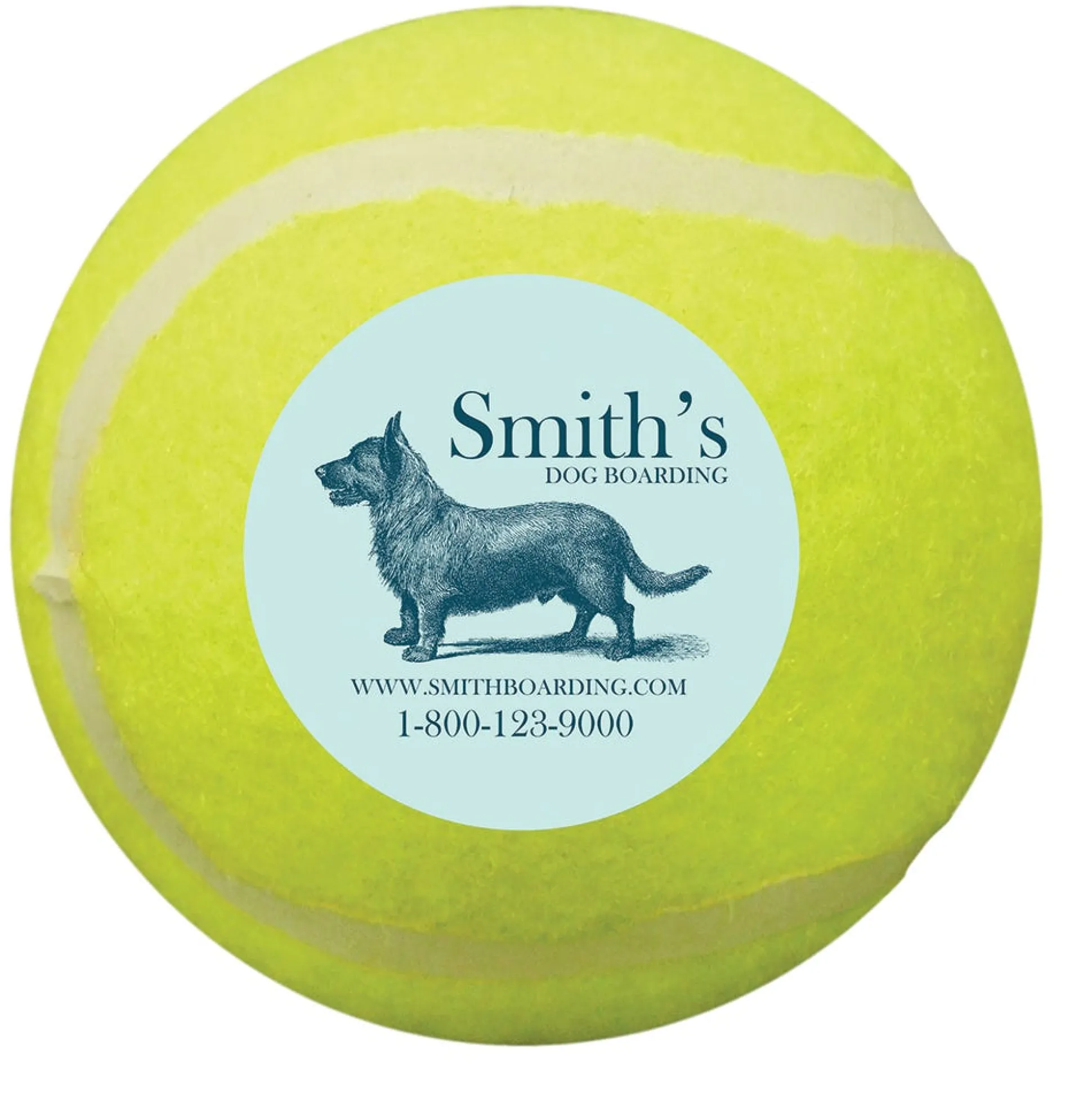 Promotional Pet Tennis Balls