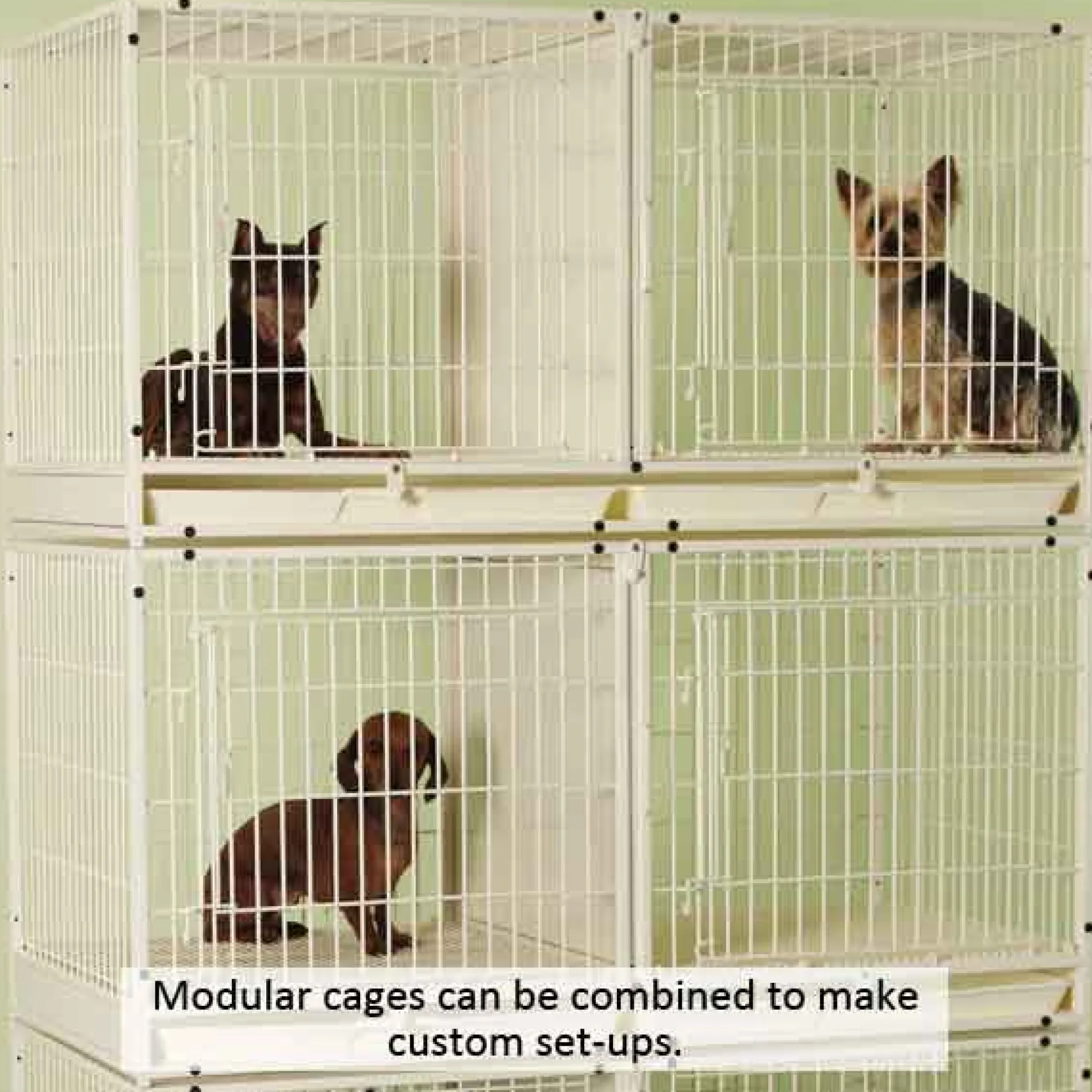 ProSelect Color Modular Cages