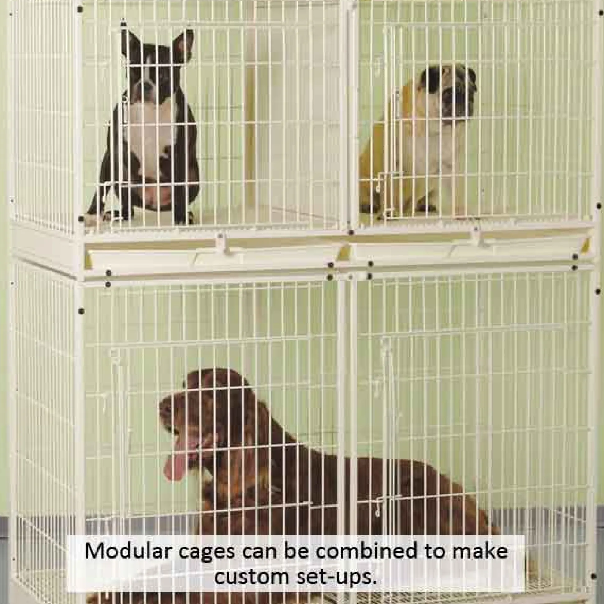 ProSelect Color X-Tall Modular Cages