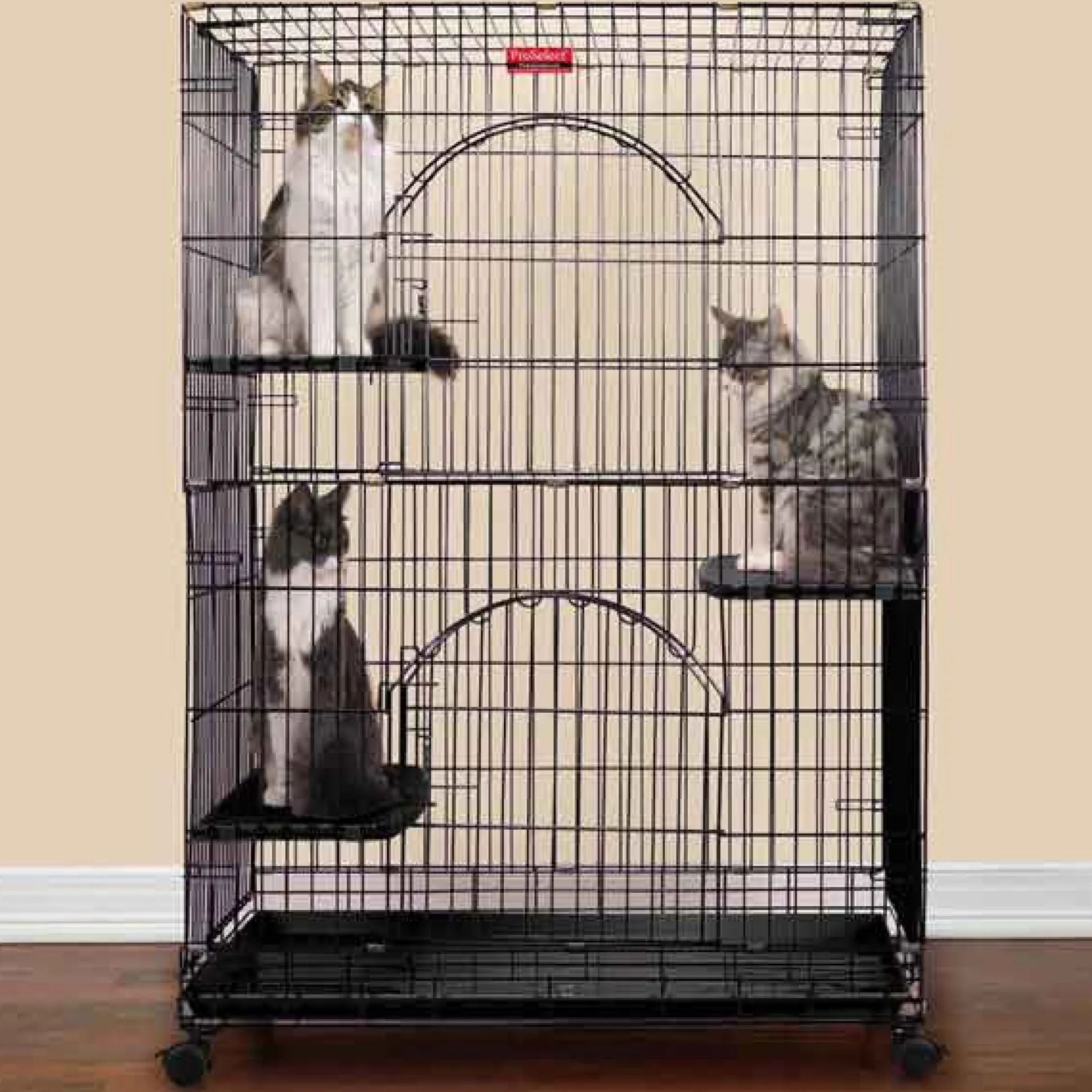 ProSelect Foldable Cat Cages