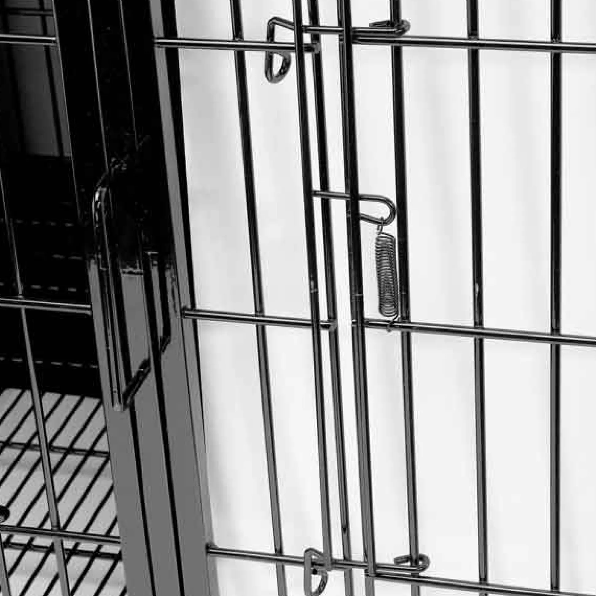 ProSelect Modular Cage