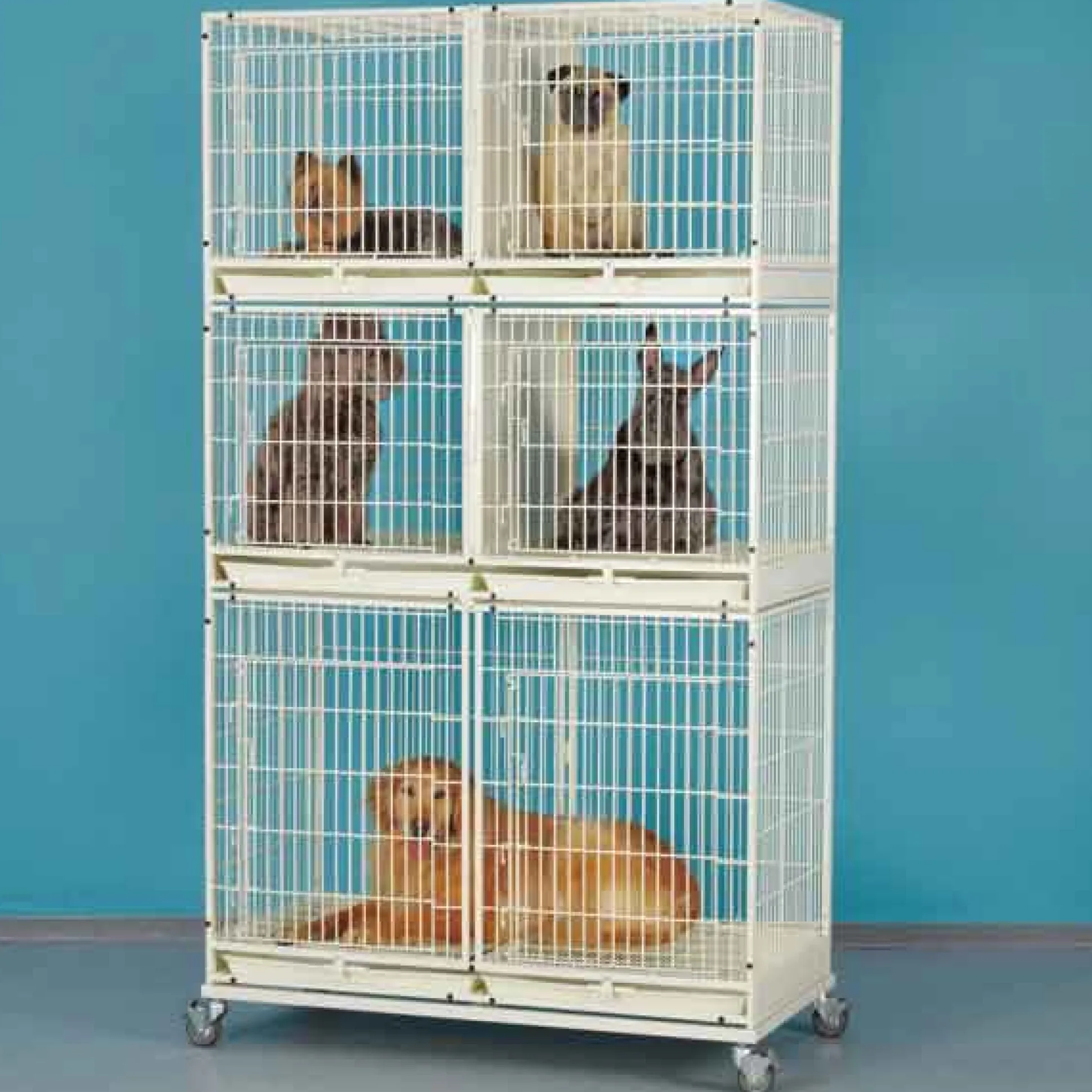 ProSelect Modular Cage Bank Kit, X-Tall