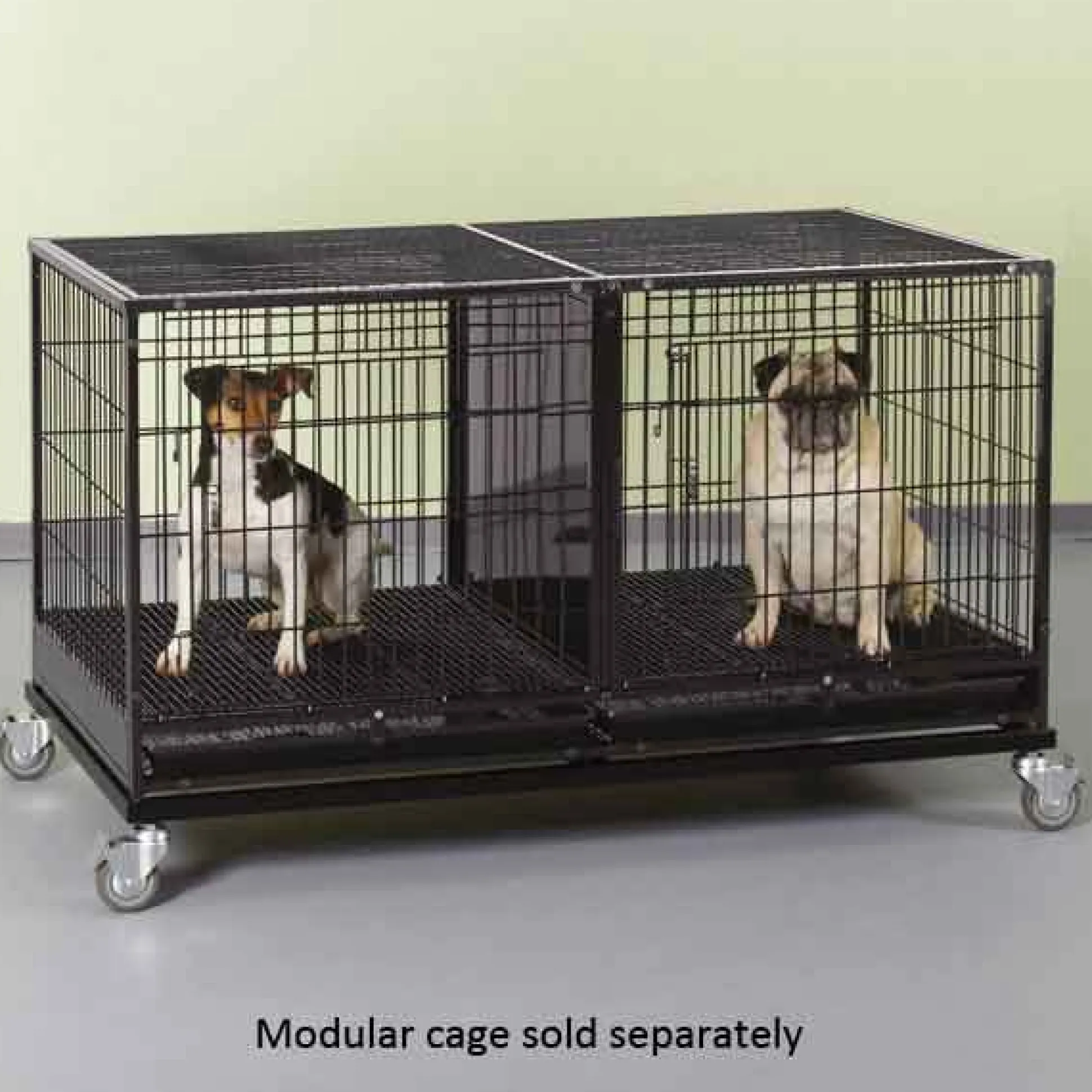 ProSelect Modular Cage Base with Wheels