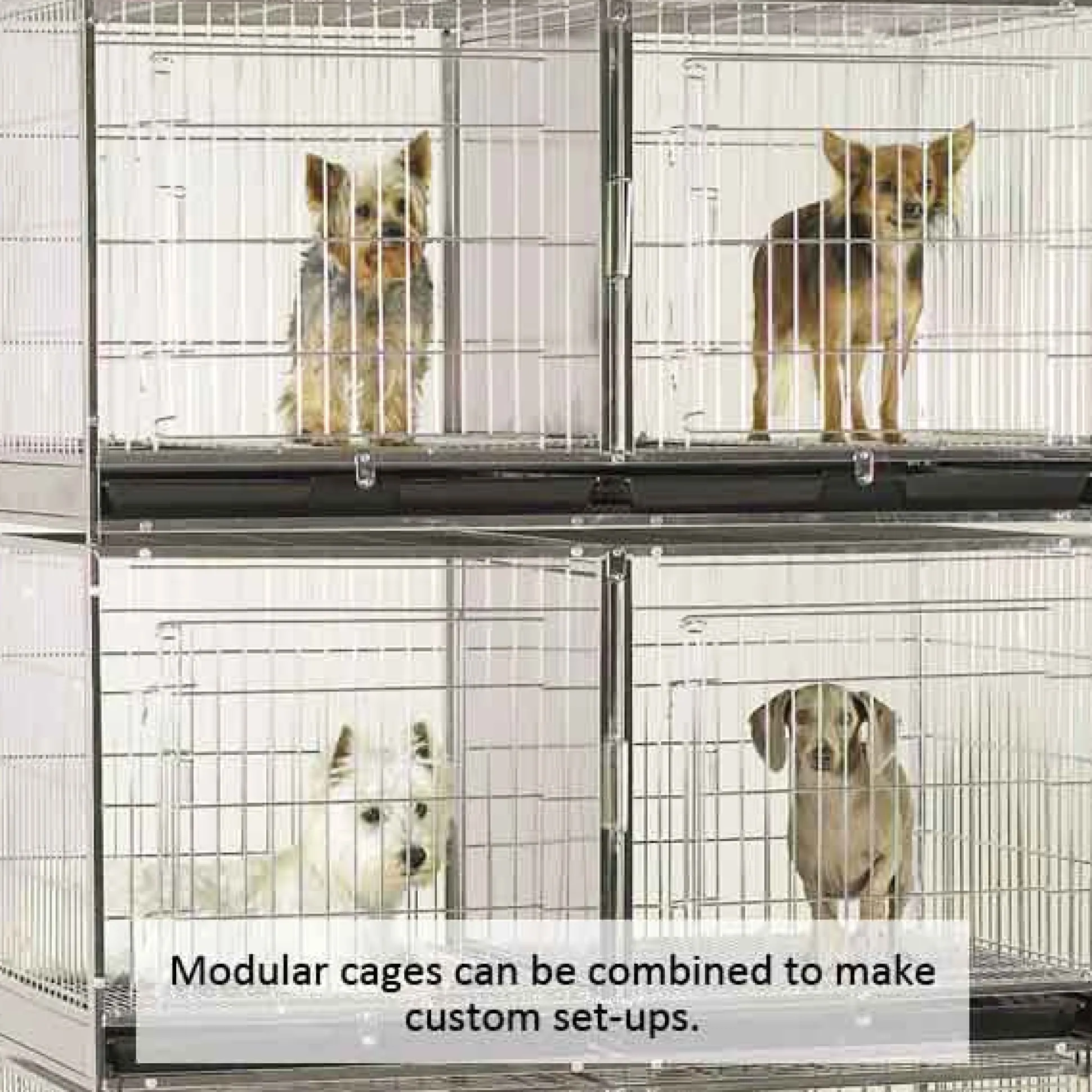 ProSelect Modular Cage w/Plastic Tray Stainless Steel