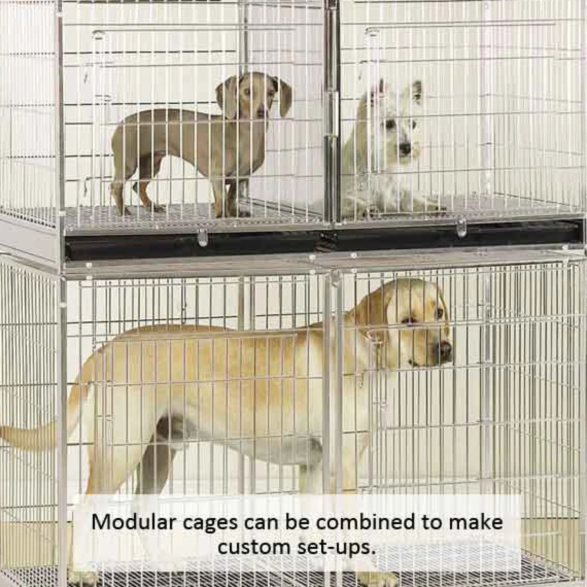 ProSelect Modular Cage w/Tray XT Stainless Steel