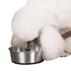 ProSelect Stainless Steel Bowls with Rubber Base