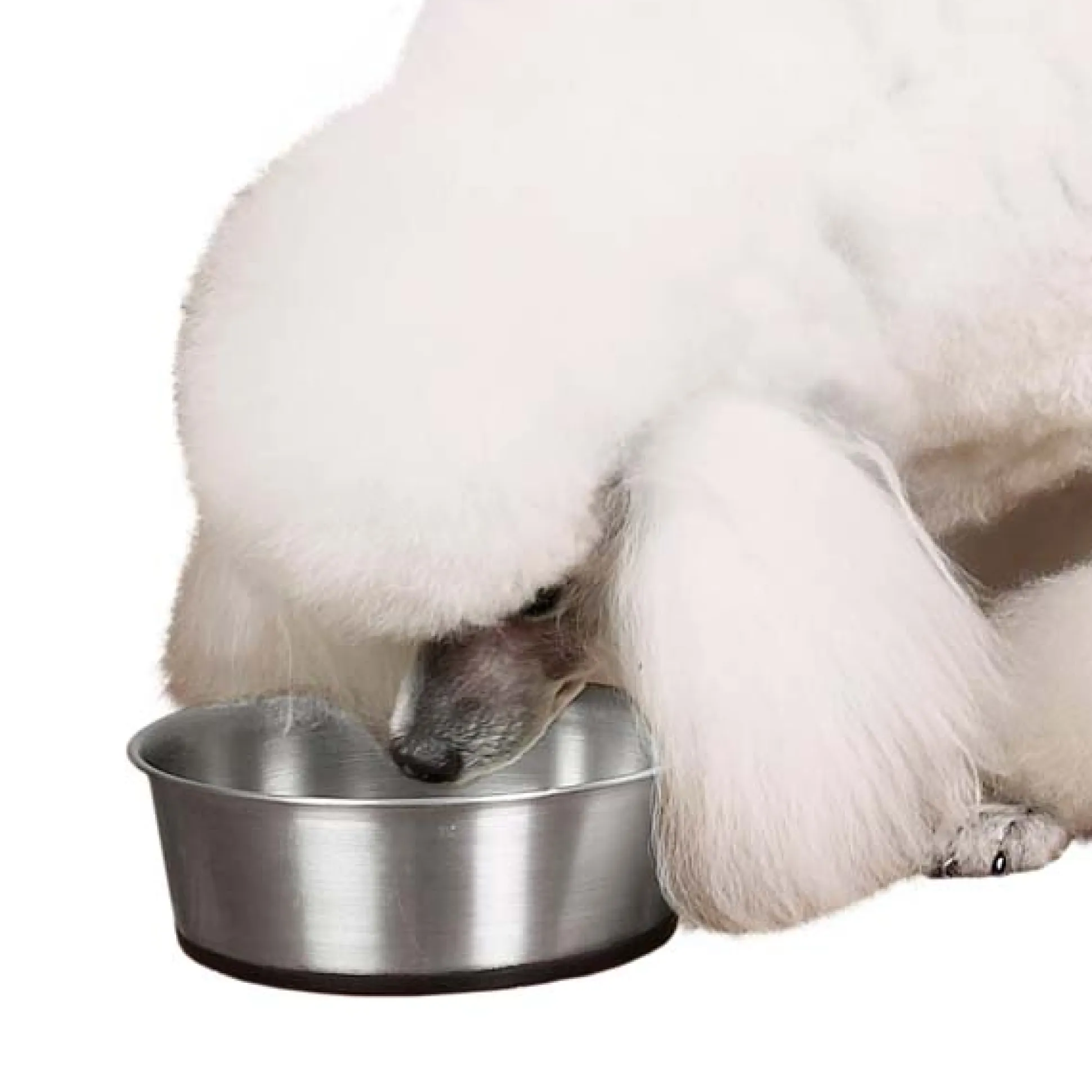ProSelect Stainless Steel Bowls with Rubber Base