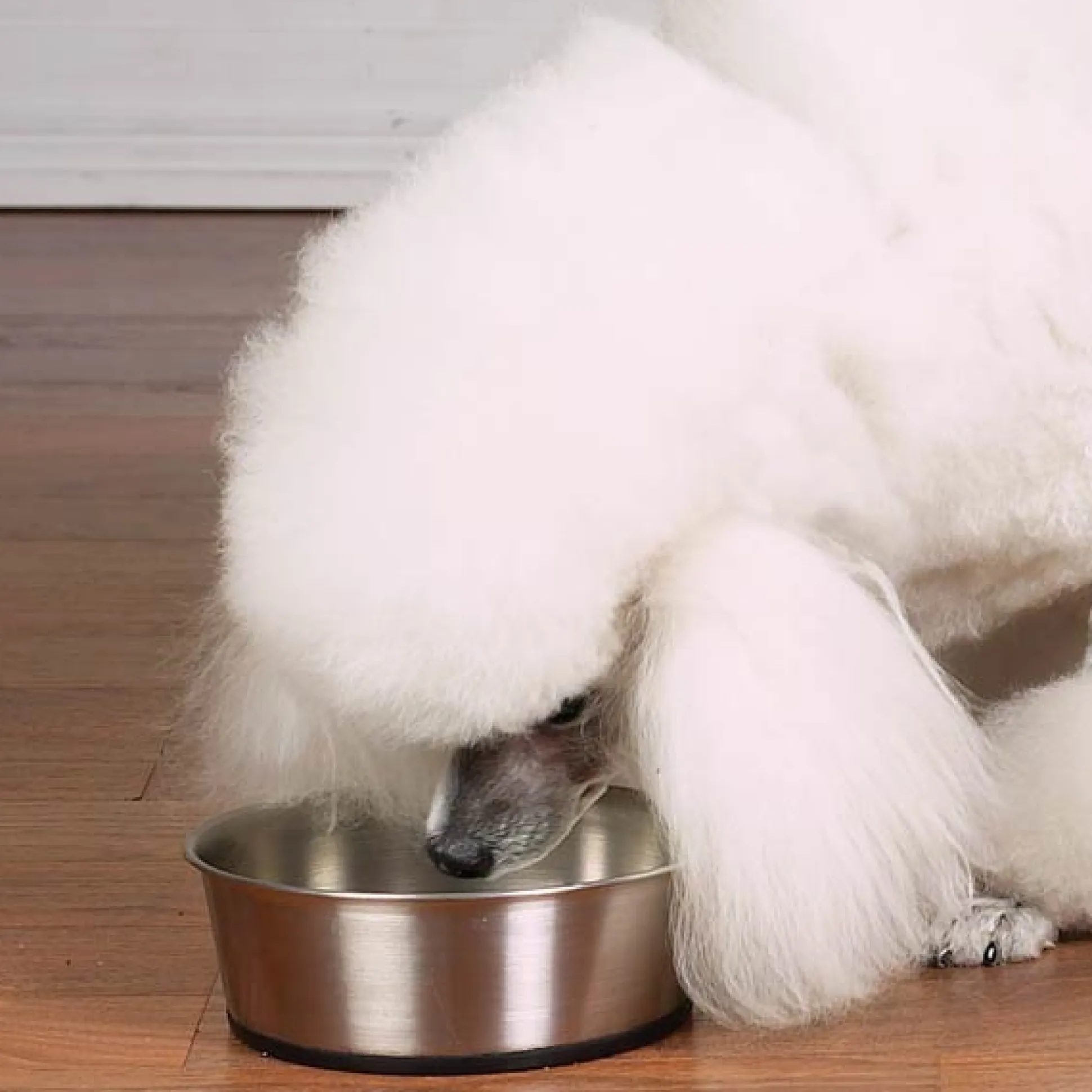 ProSelect Stainless Steel Bowls with Rubber Base