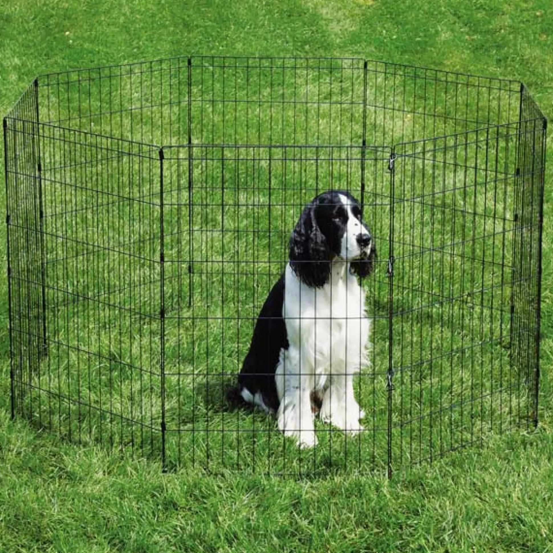 ProSelect Sure Exercise Pens