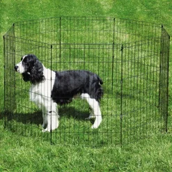 ProSelect Sure Exercise Pens