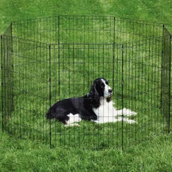 ProSelect Sure Exercise Pens