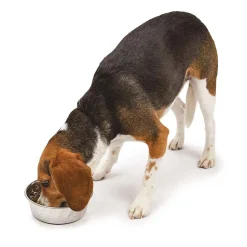 Ruff 'N Tuff Diamond Plate Bowls