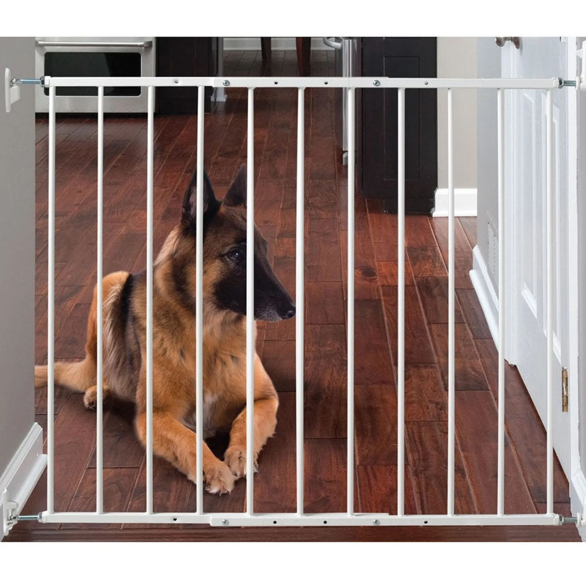 Safeway Command Wall-Mounted Pet Gate