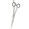 Satin 5.5in Artero Shear