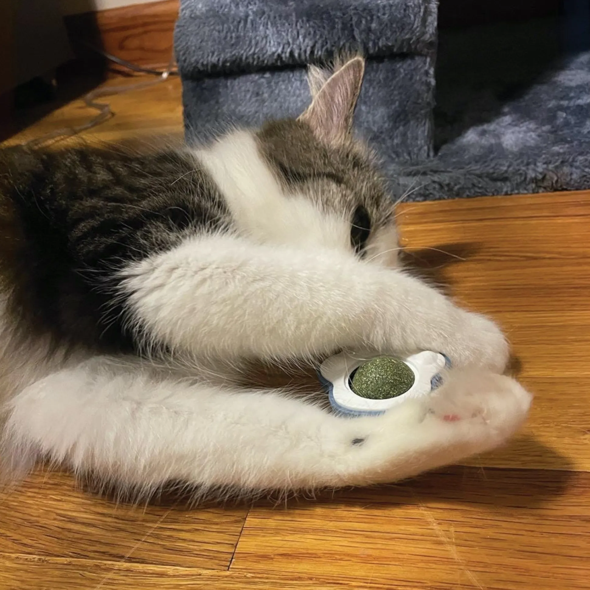 Scruffy's Catnip Roller Balls