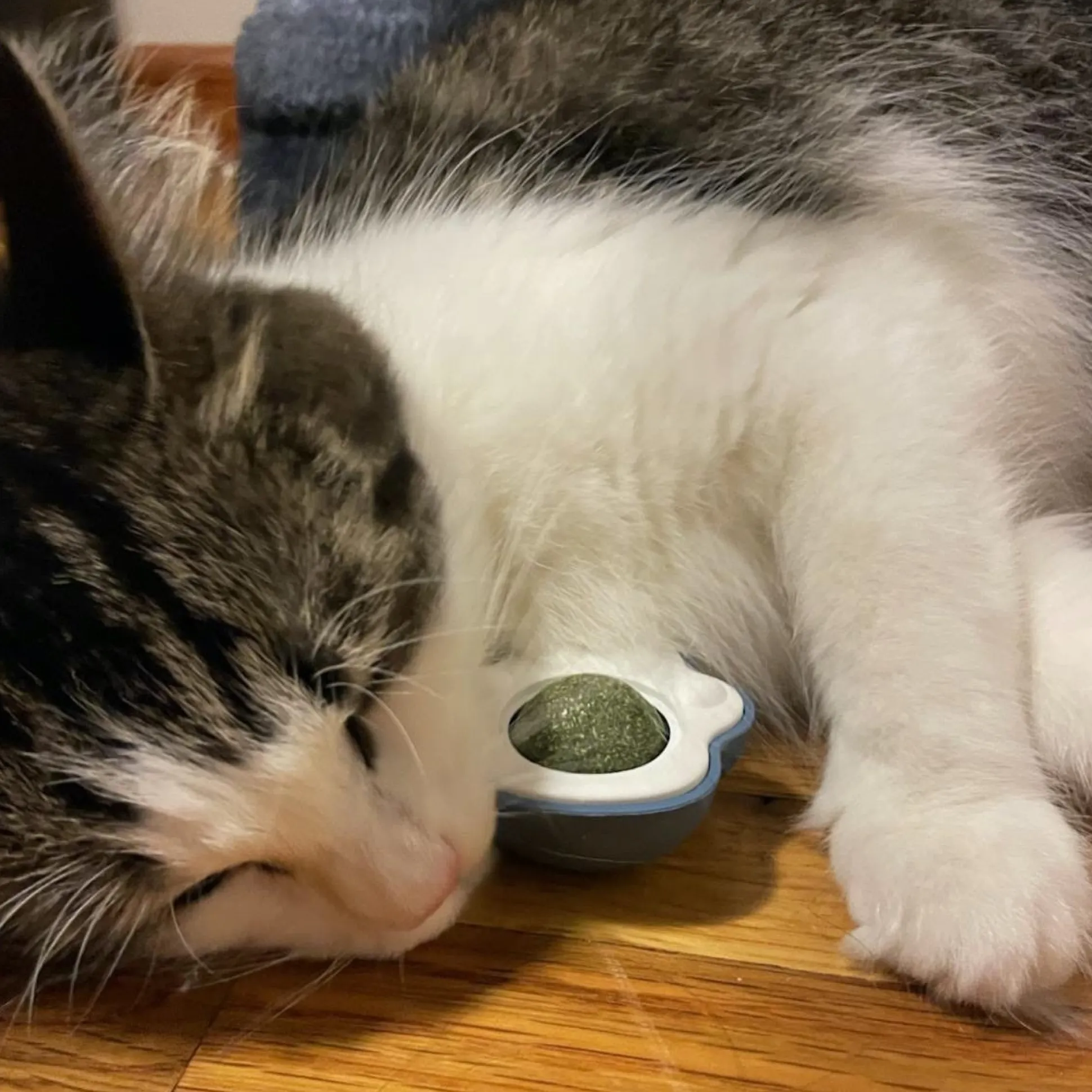 Scruffy's Catnip Roller Balls