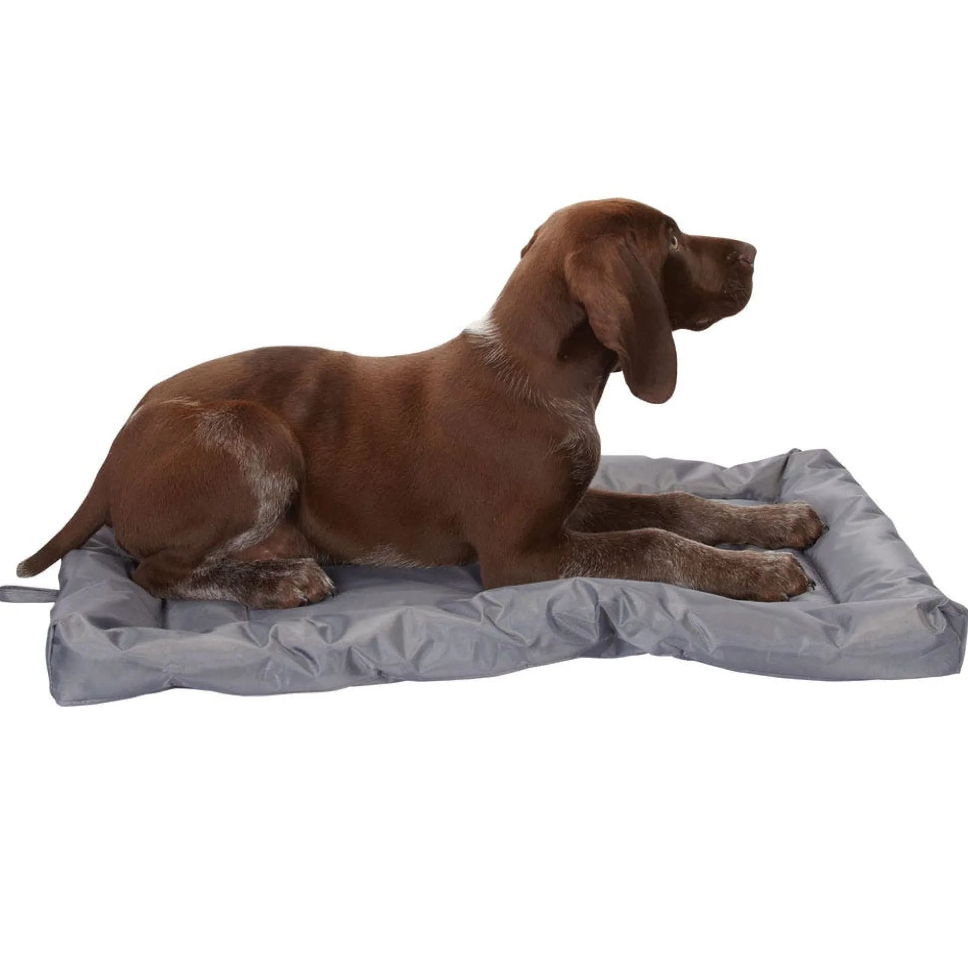 Slumber Pet Water-Resistant Mat