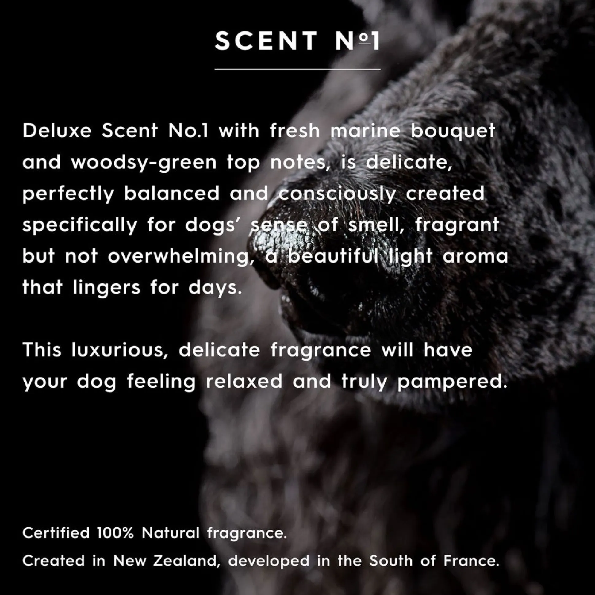 smith&burton Hydrating Conditioner Scent No.1