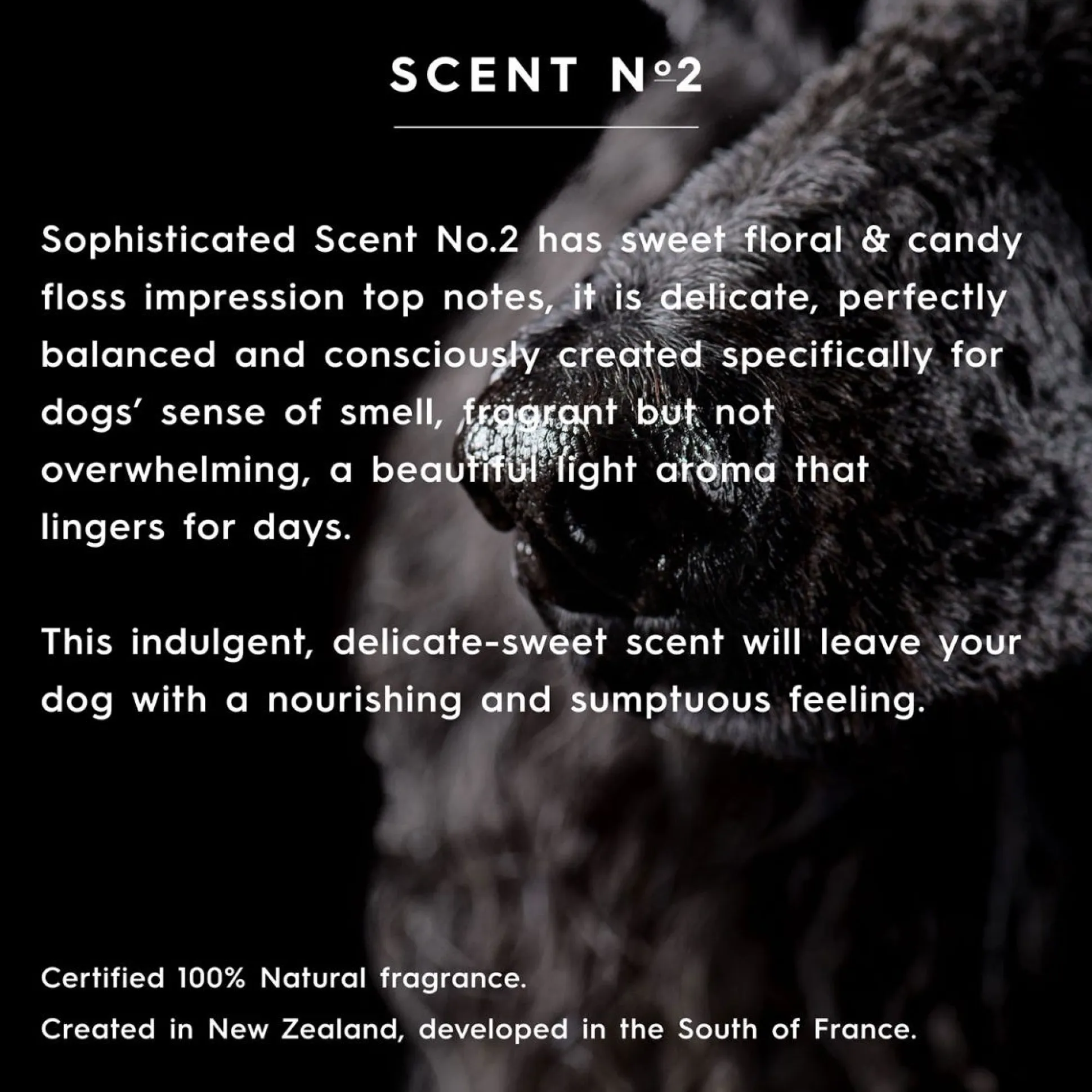 smith&burton Nourishing Conditioner Scent No. 2