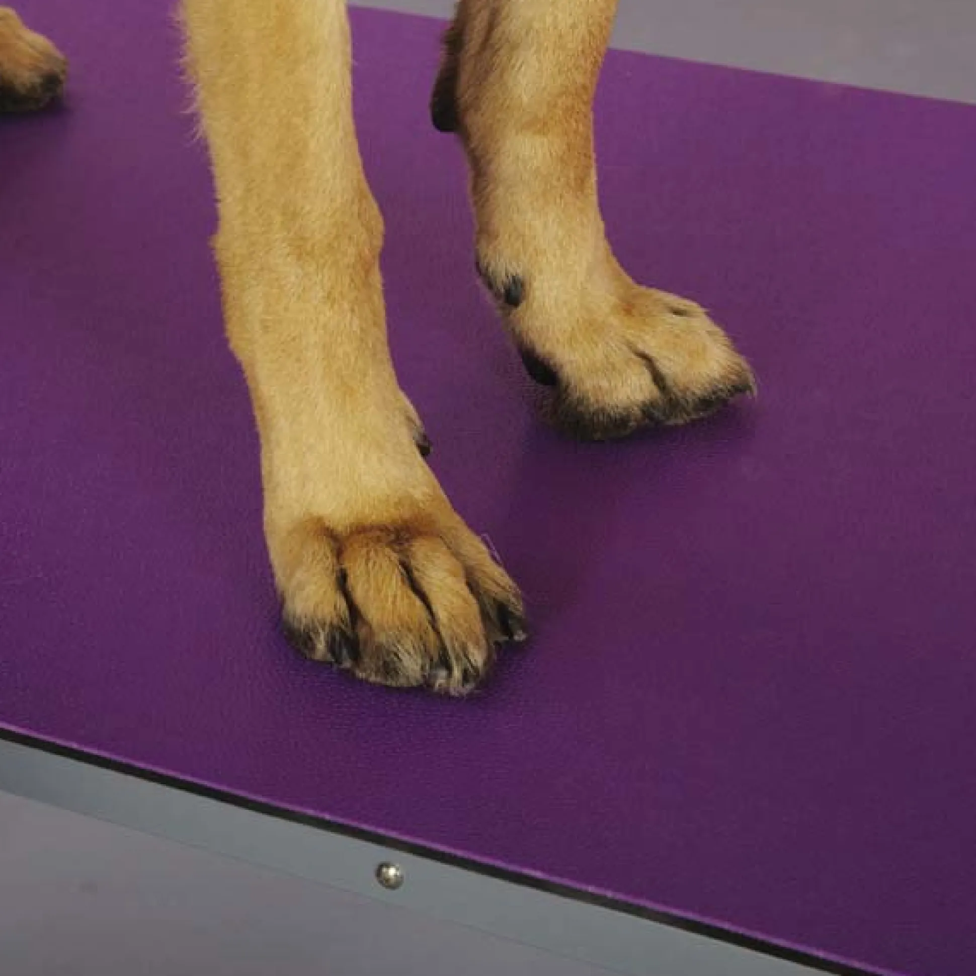 Top Performance Dog Grooming Table Mats