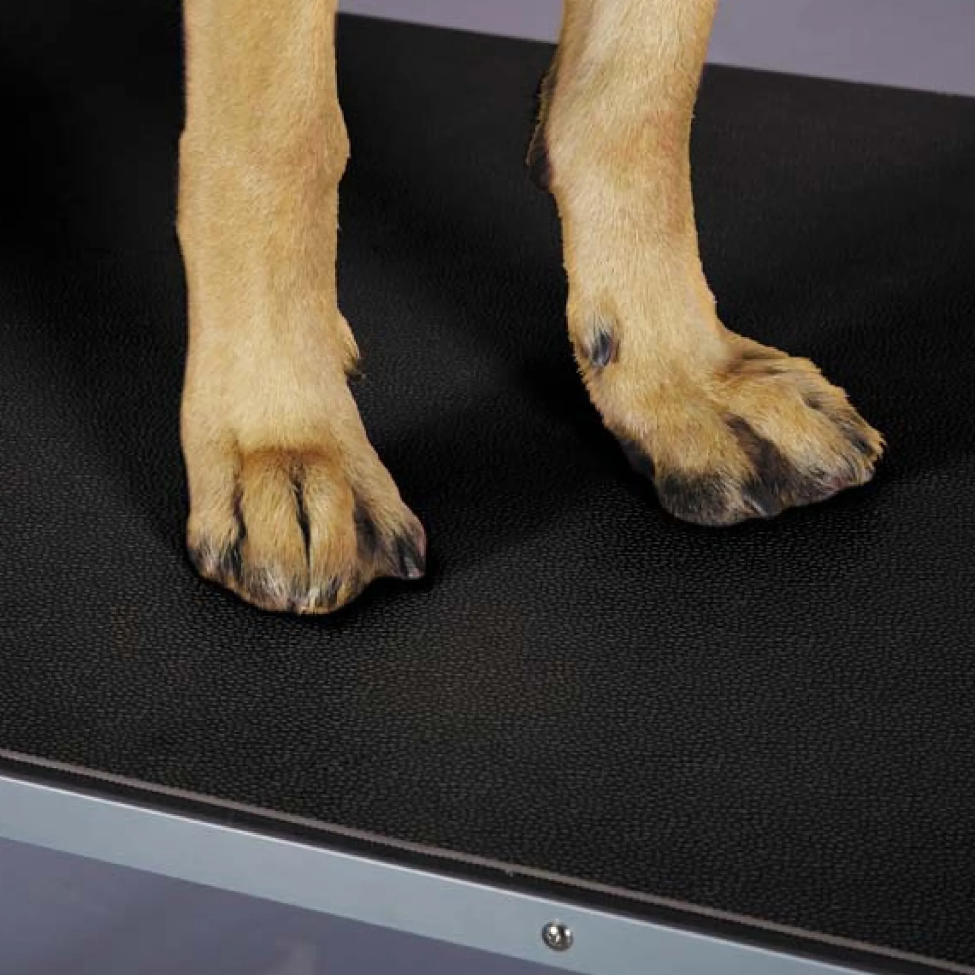 Top Performance Dog Grooming Table Mats