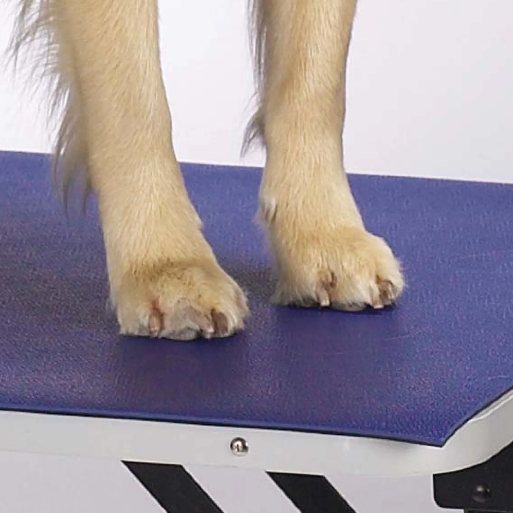 Top Performance Dog Grooming Table Mats