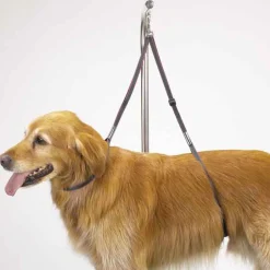 Top Performance Nylon Dog Grooming Table Harness 27In