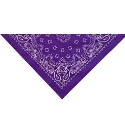 Top Performance Paisley Bandana Dark Purple
