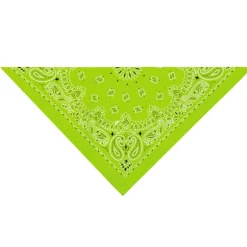 Top Performance Paisley Bandana Light Green