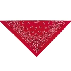 Top Performance Paisley Bandana Red