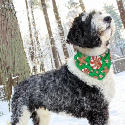 Top Performance Seasonal Bandanas